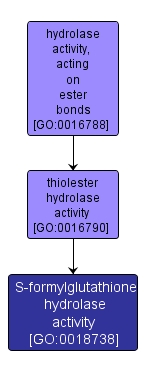 GO:0018738 - S-formylglutathione hydrolase activity (interactive image map)