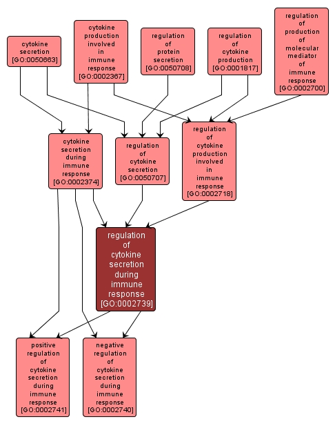 GO:0002739 - regulation of cytokine secretion during immune response (interactive image map)