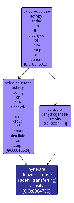 GO:0004739 - pyruvate dehydrogenase (acetyl-transferring) activity (interactive image map)