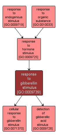 GO:0009739 - response to gibberellin stimulus (interactive image map)