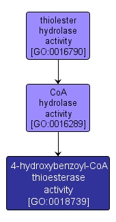 GO:0018739 - 4-hydroxybenzoyl-CoA thioesterase activity (interactive image map)