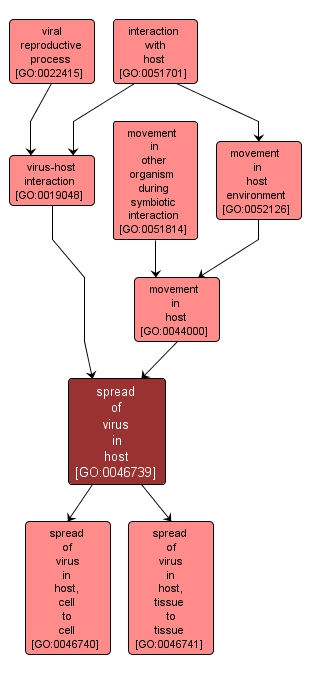 GO:0046739 - spread of virus in host (interactive image map)