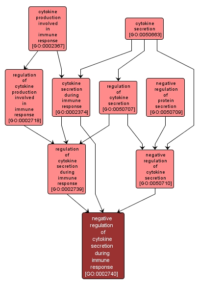 GO:0002740 - negative regulation of cytokine secretion during immune response (interactive image map)