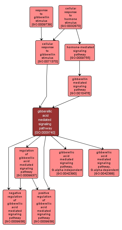 GO:0009740 - gibberellic acid mediated signaling pathway (interactive image map)