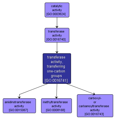 GO:0016741 - transferase activity, transferring one-carbon groups (interactive image map)