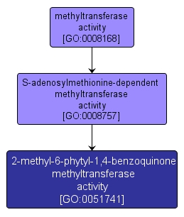 GO:0051741 - 2-methyl-6-phytyl-1,4-benzoquinone methyltransferase activity (interactive image map)