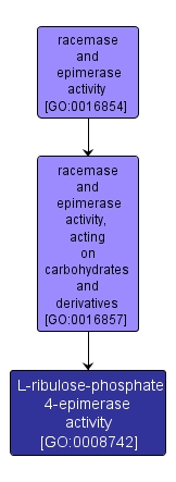 GO:0008742 - L-ribulose-phosphate 4-epimerase activity (interactive image map)