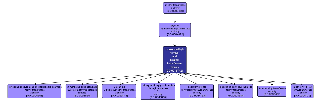 GO:0016742 - hydroxymethyl-, formyl- and related transferase activity (interactive image map)