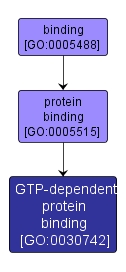 GO:0030742 - GTP-dependent protein binding (interactive image map)