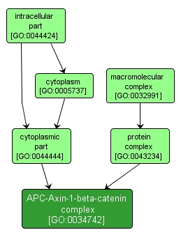 GO:0034742 - APC-Axin-1-beta-catenin complex (interactive image map)