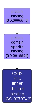 GO:0070742 - C2H2 zinc finger domain binding (interactive image map)