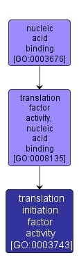GO:0003743 - translation initiation factor activity (interactive image map)