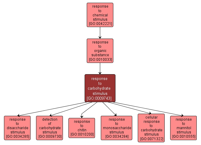 GO:0009743 - response to carbohydrate stimulus (interactive image map)