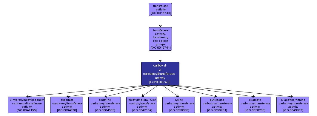 GO:0016743 - carboxyl- or carbamoyltransferase activity (interactive image map)