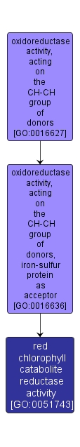 GO:0051743 - red chlorophyll catabolite reductase activity (interactive image map)