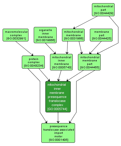 GO:0005744 - mitochondrial inner membrane presequence translocase complex (interactive image map)