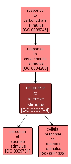 GO:0009744 - response to sucrose stimulus (interactive image map)