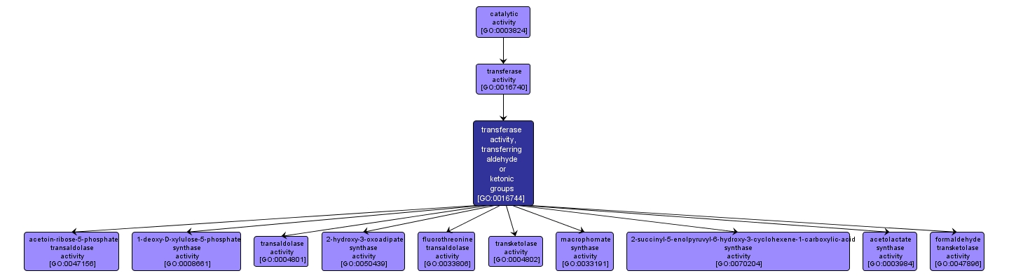 GO:0016744 - transferase activity, transferring aldehyde or ketonic groups (interactive image map)