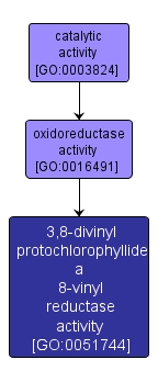GO:0051744 - 3,8-divinyl protochlorophyllide a 8-vinyl reductase activity (interactive image map)