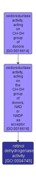 GO:0004745 - retinol dehydrogenase activity (interactive image map)