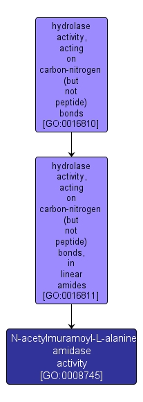 GO:0008745 - N-acetylmuramoyl-L-alanine amidase activity (interactive image map)