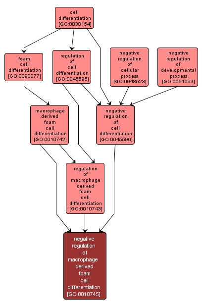 GO:0010745 - negative regulation of macrophage derived foam cell differentiation (interactive image map)