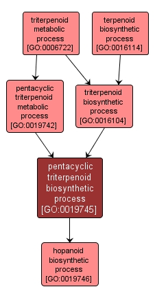GO:0019745 - pentacyclic triterpenoid biosynthetic process (interactive image map)