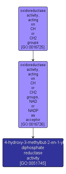 GO:0051745 - 4-hydroxy-3-methylbut-2-en-1-yl diphosphate reductase activity (interactive image map)