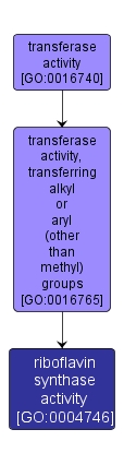 GO:0004746 - riboflavin synthase activity (interactive image map)