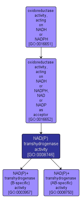 GO:0008746 - NAD(P) transhydrogenase activity (interactive image map)