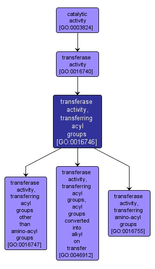 GO:0016746 - transferase activity, transferring acyl groups (interactive image map)