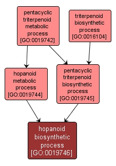GO:0019746 - hopanoid biosynthetic process (interactive image map)