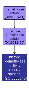 GO:0033746 - histone demethylase activity (H3-R2 specific) (interactive image map)