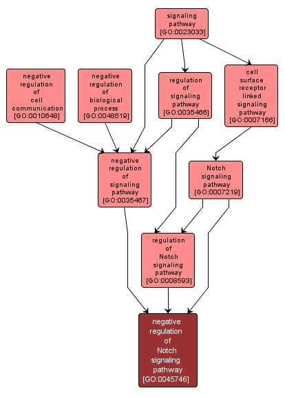 GO:0045746 - negative regulation of Notch signaling pathway (interactive image map)