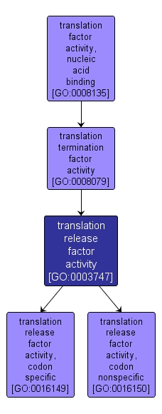 GO:0003747 - translation release factor activity (interactive image map)