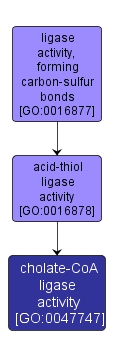 GO:0047747 - cholate-CoA ligase activity (interactive image map)
