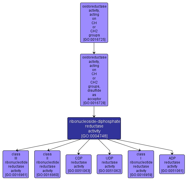 GO:0004748 - ribonucleoside-diphosphate reductase activity (interactive image map)