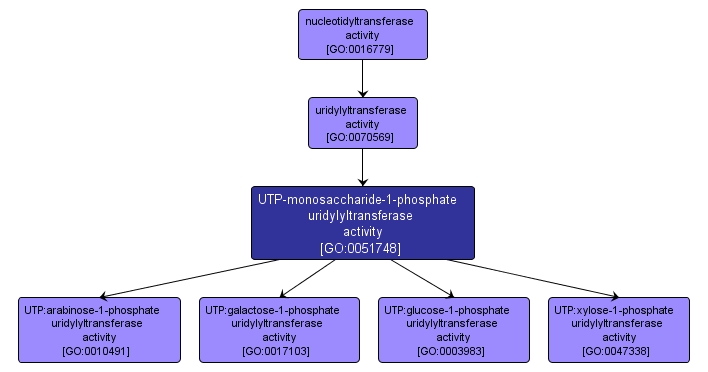GO:0051748 - UTP-monosaccharide-1-phosphate uridylyltransferase activity (interactive image map)