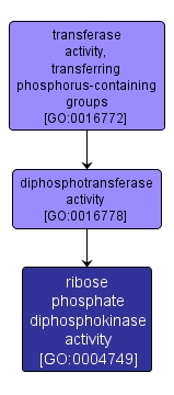 GO:0004749 - ribose phosphate diphosphokinase activity (interactive image map)