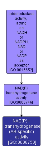 GO:0008750 - NAD(P)+ transhydrogenase (AB-specific) activity (interactive image map)