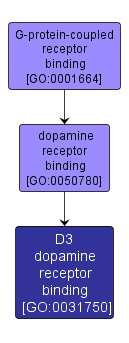 GO:0031750 - D3 dopamine receptor binding (interactive image map)