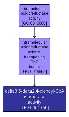 GO:0051750 - delta3,5-delta2,4-dienoyl-CoA isomerase activity (interactive image map)