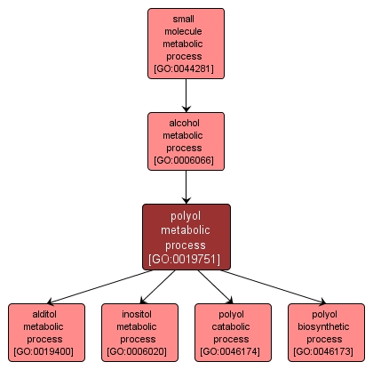 GO:0019751 - polyol metabolic process (interactive image map)