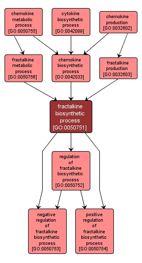 GO:0050751 - fractalkine biosynthetic process (interactive image map)