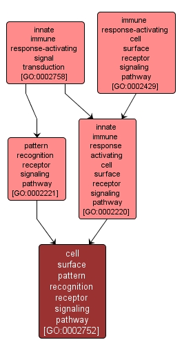 GO:0002752 - cell surface pattern recognition receptor signaling pathway (interactive image map)