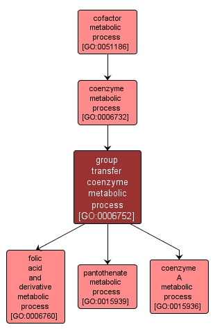 GO:0006752 - group transfer coenzyme metabolic process (interactive image map)