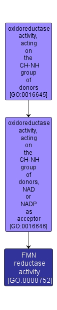 GO:0008752 - FMN reductase activity (interactive image map)