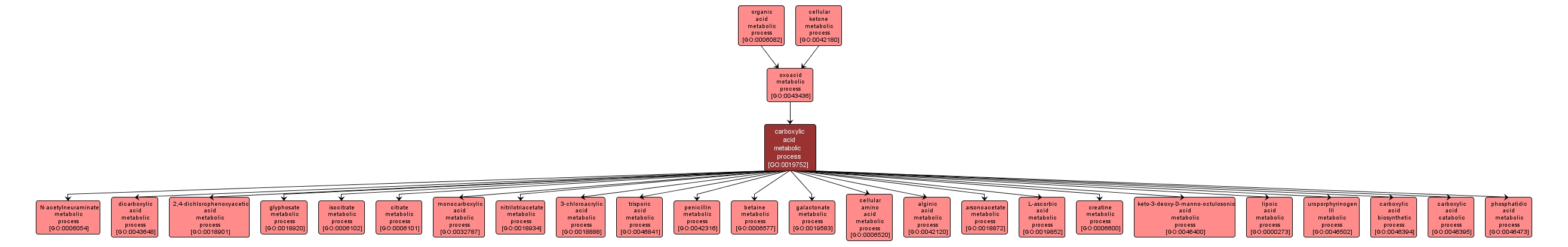 GO:0019752 - carboxylic acid metabolic process (interactive image map)