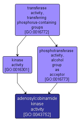 GO:0043752 - adenosylcobinamide kinase activity (interactive image map)