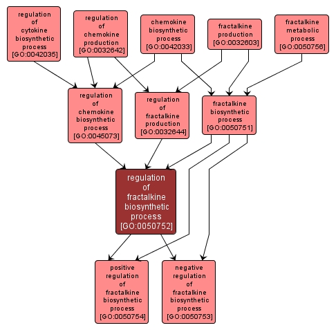 GO:0050752 - regulation of fractalkine biosynthetic process (interactive image map)
